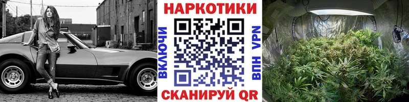 Купить наркотик аптеки Олёкминск Канабис Alpha PVP АМФ МЕФ COCAIN ГАШ