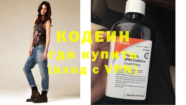 дмт Богданович