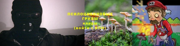 дмт Богданович