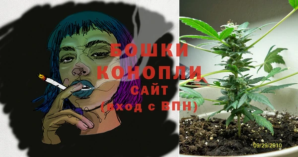 дмт Богданович