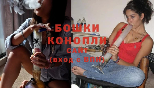 дмт Богданович
