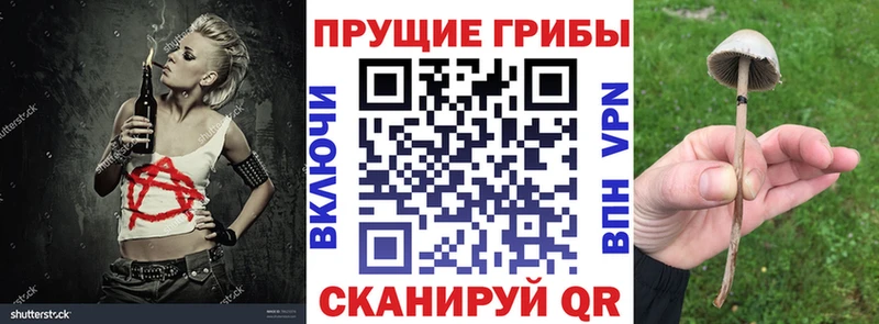 Псилоцибиновые грибы Magic Shrooms  Олёкминск 